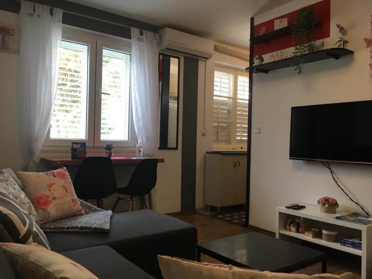 Apartment Panarea ドゥブロブニク エクステリア 写真