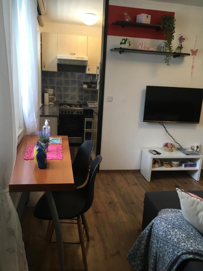 Apartment Panarea ドゥブロブニク エクステリア 写真